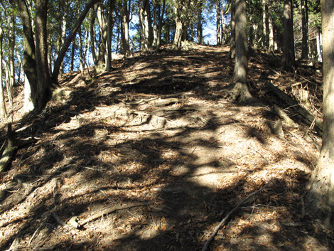 20190121hike (98)